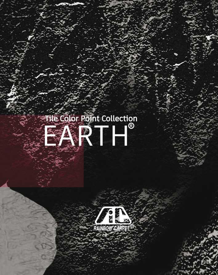 E-Catalog CNR - Carpet Tile Earth